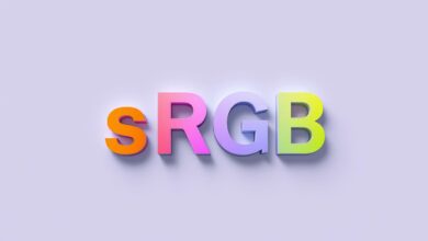 Color Gamut sRGB